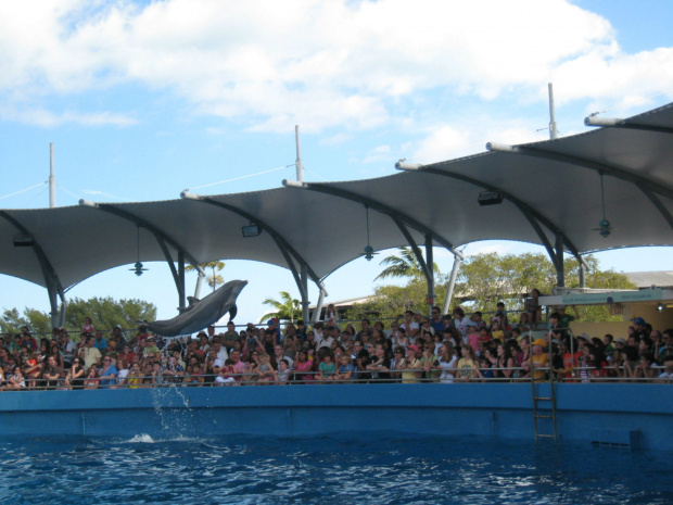 Miami Seaquarium