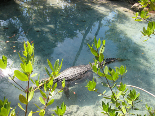 Miami Seaquarium