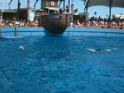 Miami Seaquarium