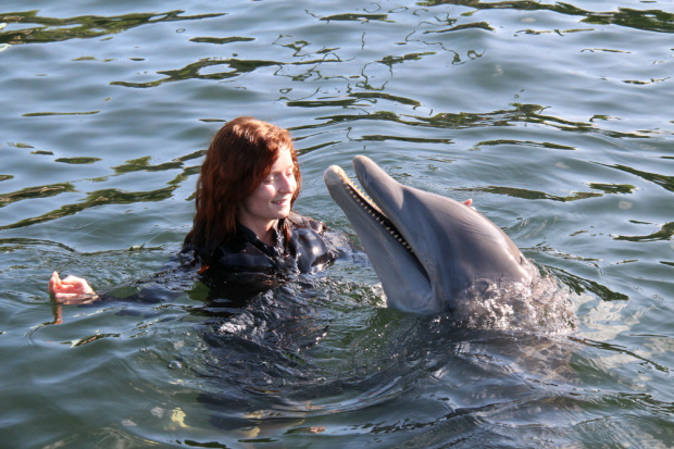 Key Largo, delfin Bob