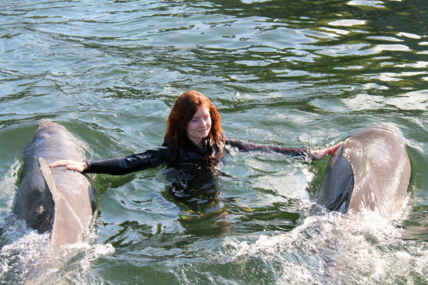 Key Largo, delfiny Bob i Squirt