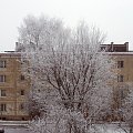 Zima w mieście
