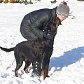 #rottka #rottweiler