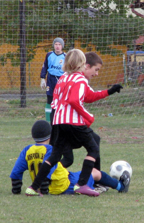 Trampkarze młodsi Pogoń Leżajsk - Stal Łańcut (2:1), 15.10.2011 r. #lezajsk #lezajsktm #leżajsk #łańcut #PiłkaNożna #pogon #pogoń #PogońLeżajsk #sport #stal #StalŁańcut #trampkarze