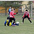 Trampkarze młodsi Pogoń Leżajsk - Stal Łańcut (2:1), 15.10.2011 r. #lezajsk #lezajsktm #leżajsk #łańcut #PiłkaNożna #pogon #pogoń #PogońLeżajsk #sport #stal #StalŁańcut #trampkarze