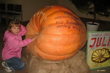 Dominika z Julią, konkursową dynią p.Antoniego ... #Dominika #dynia #konkurs #owoce #warzywa