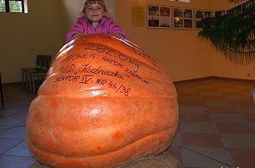 Dominika z Julią, konkursową dynią p.Antoniego ... #Dominika #dynia #konkurs #owoce #warzywa