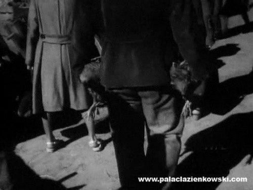 Choć nie pada nazwa "Staszów", można rozpoznać że o nie chodzi. Filmik nakręcono w 1956 roku. #film #miasteczko #staszów