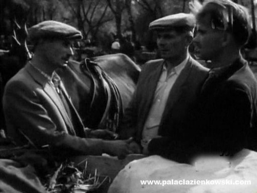 Choć nie pada nazwa "Staszów", można rozpoznać że o nie chodzi. Filmik nakręcono w 1956 roku. #film #miasteczko #staszów