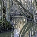 Szwajcaria Godurowska to malowniczy teren który został tak nazywany przez mieszkańców gminy . Miejsce ciszy i spokoju ... Drewniany most, wolno przepływająca woda i piękno przyrody zachwycają amatorów pieszych, rowerowych i konnych wycieczek z całego p...