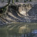 Szwajcaria Godurowska to malowniczy teren który został tak nazywany przez mieszkańców gminy . Miejsce ciszy i spokoju ... Drewniany most, wolno przepływająca woda i piękno przyrody zachwycają amatorów pieszych, rowerowych i konnych wycieczek z całego p...