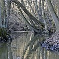 Szwajcaria Godurowska to malowniczy teren który został tak nazywany przez mieszkańców gminy . Miejsce ciszy i spokoju ... Drewniany most, wolno przepływająca woda i piękno przyrody zachwycają amatorów pieszych, rowerowych i konnych wycieczek z całego p...