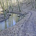 Szwajcaria Godurowska to malowniczy teren który został tak nazywany przez mieszkańców gminy . Miejsce ciszy i spokoju ... Drewniany most, wolno przepływająca woda i piękno przyrody zachwycają amatorów pieszych, rowerowych i konnych wycieczek z całego p...