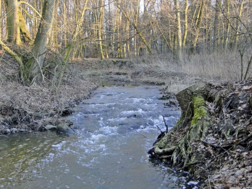 Szwajcaria Godurowska to malowniczy teren który został tak nazywany przez mieszkańców gminy . Miejsce ciszy i spokoju ... Drewniany most, wolno przepływająca woda i piękno przyrody zachwycają amatorów pieszych, rowerowych i konnych wycieczek z całego p...