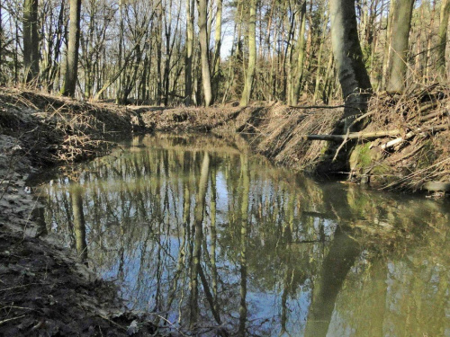 Szwajcaria Godurowska to malowniczy teren który został tak nazywany przez mieszkańców gminy . Miejsce ciszy i spokoju ... Drewniany most, wolno przepływająca woda i piękno przyrody zachwycają amatorów pieszych, rowerowych i konnych wycieczek z całego p...